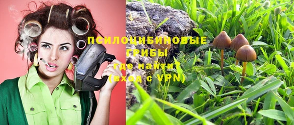 твердый Горняк