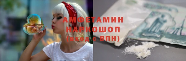 твердый Горняк
