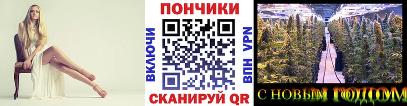 Шишки марихуана ГИДРОПОН kraken как зайти Могоча хочу наркоту